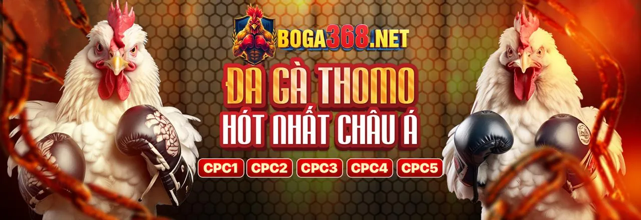 Phân Tích Các Chương Trình Khuyến Mãi Mới Nhất của HQ88